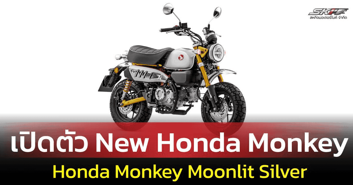 เปิดตัว Honda Monkey Moonlit Silver สุดแนว! สีใหม่สะดุดตา เริ่มขายแล้วทั่วประเทศ